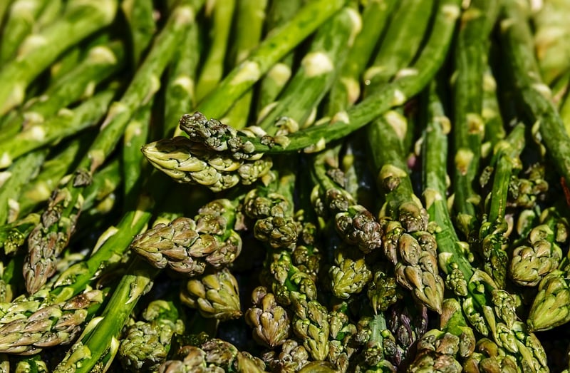 Plated Asparagus Dish